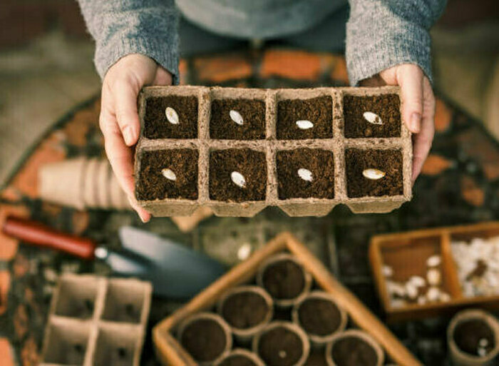 02232ce5012445d195c66c7f554cb256