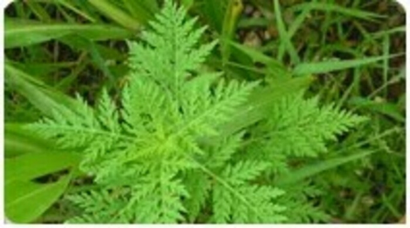 9489e4ef61f84ee7a8dc12dc93e40c41