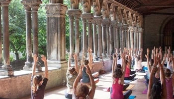 | Pause Yoga |