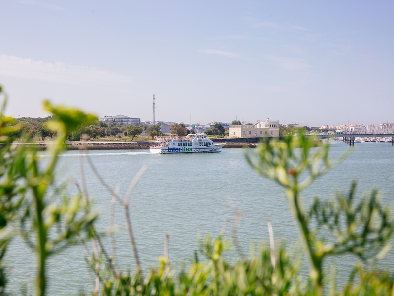 Excursions en bateau