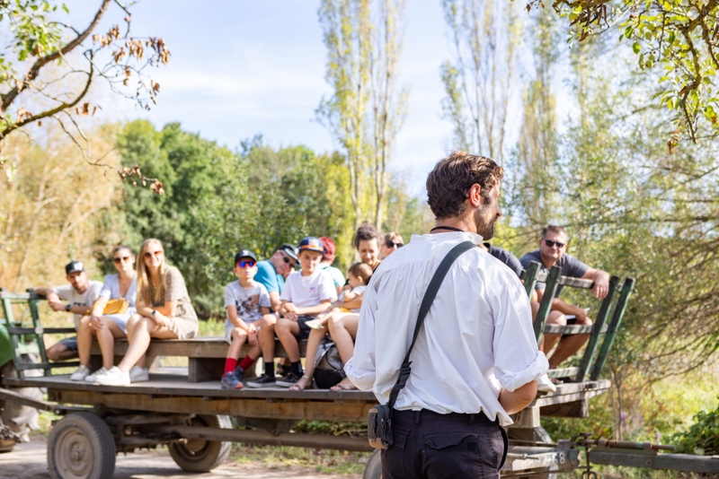 e76b826c784f4b6bb4b5c97cc07b0c62