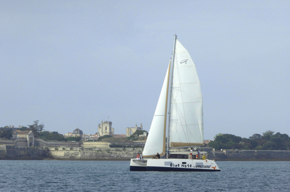 fe3c1a6e865d43d08b2fedc3b9bec565