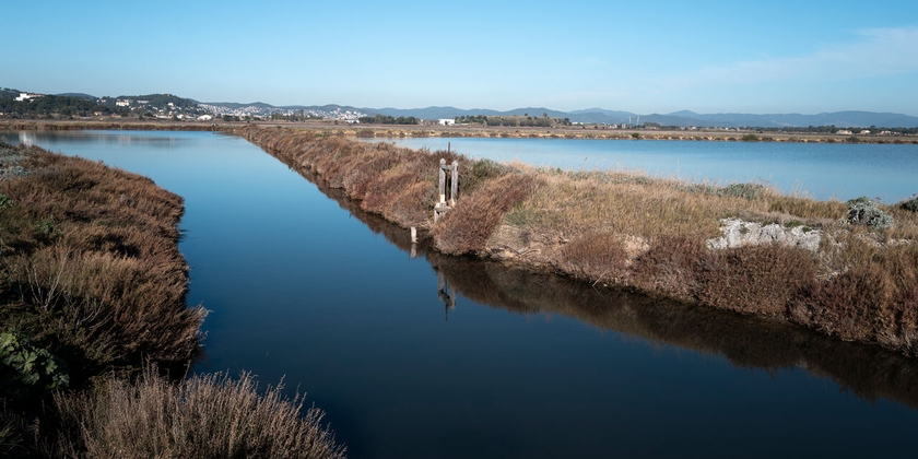 402d077c2e784cc5956675606dd4cfe3