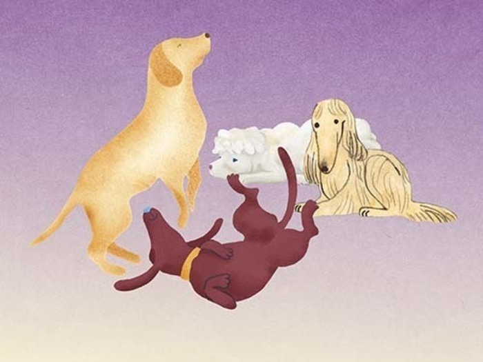 4f5db884126344e69d82c8935636e9af