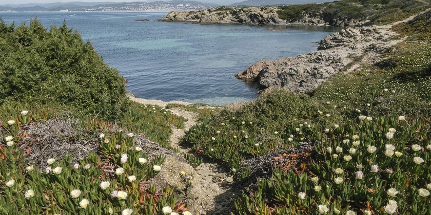 2e24144fc5314bb4b2284df4ca2e63f4