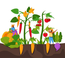 | Atelier jardinage : petits fruits et plessis |