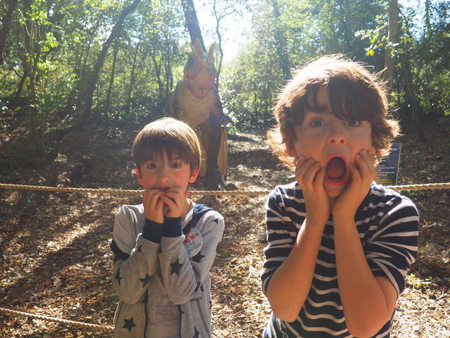 005dc0c747f542dda50b46d82f7cc4bf