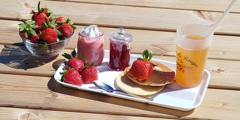 678618d58ddc43b08f683860e7dc8e28