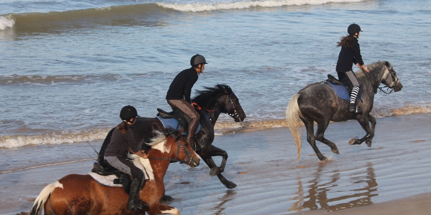 1156a5481aa94e7c84924b751487dc1c