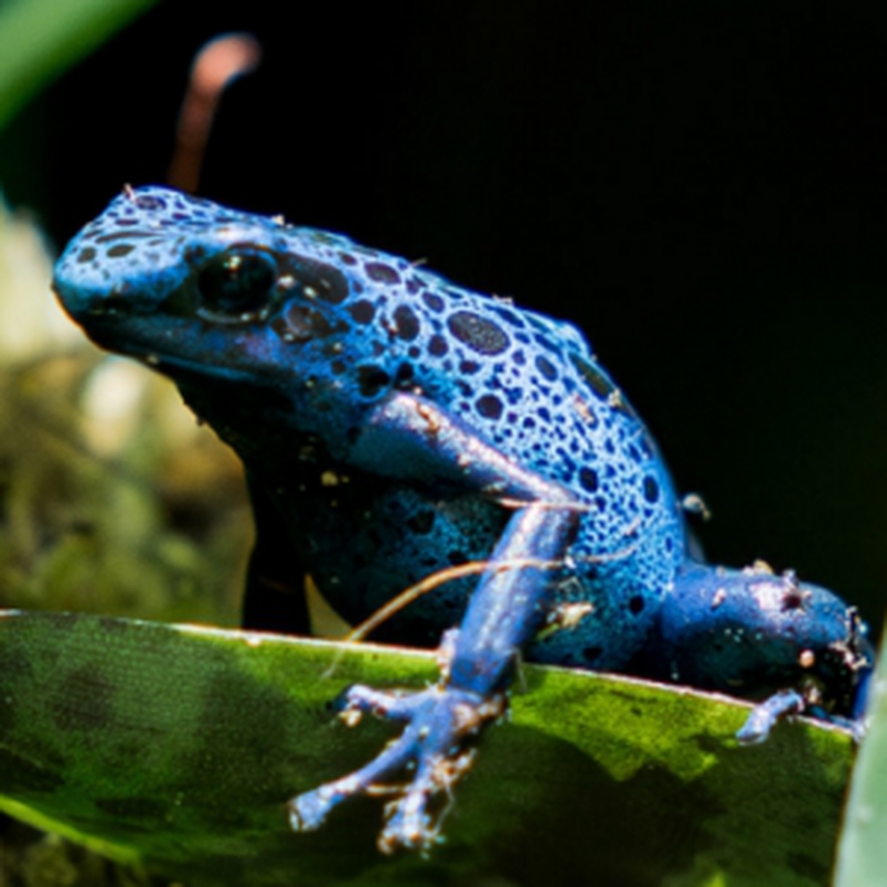 8d93fb8e58b74b8cb1d376e5de8d2538