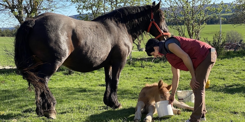 e86b00b1d11847f69acf61516c20d674