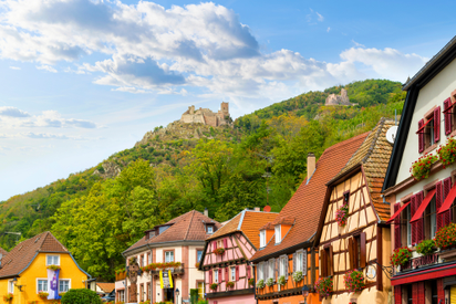 d0a1afc9862946039cd7121d1dc6b7bf