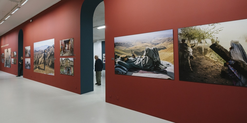 e8383d167c394fd7a3f0f518bfbc6150