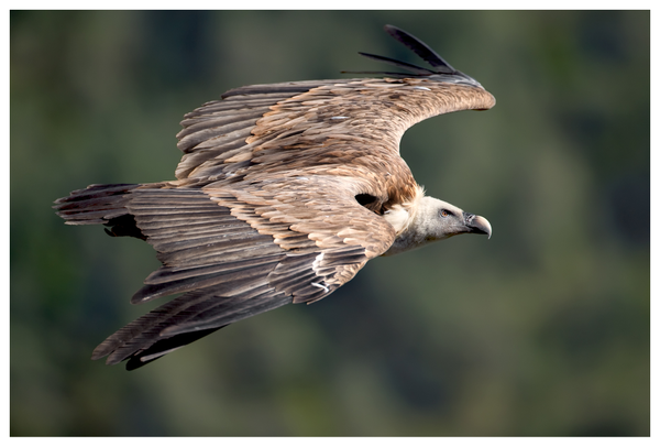 8a5eada47b5642d2a7373d05516c506a