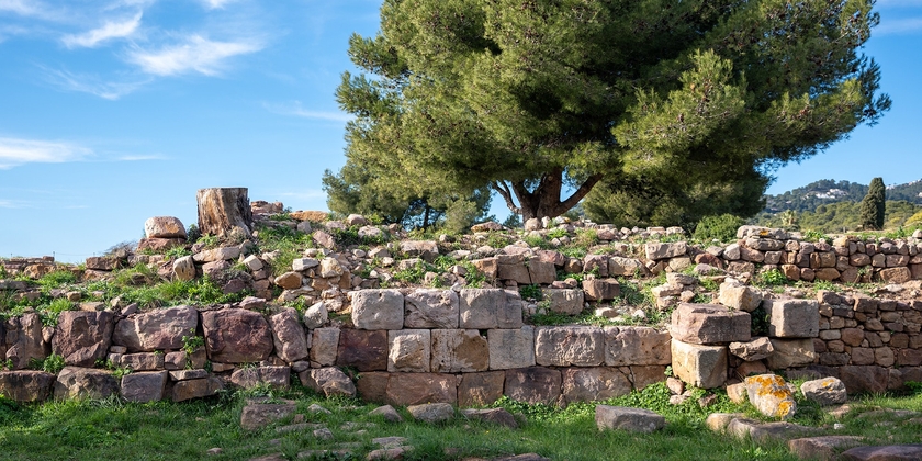 20e48a8fc6614e72bb6b33d23887f258