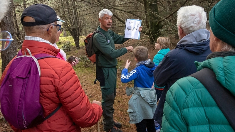 1e6879b7ebad4ed0a33e59dddfef6609