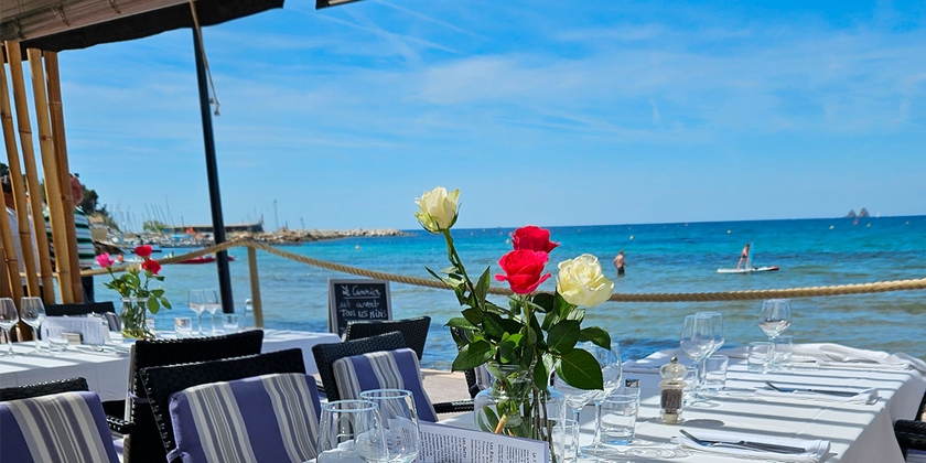 8490c536b37548babca66eecc18c6691