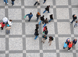 | Forum des associations |