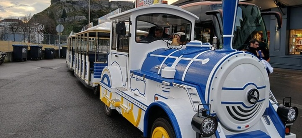 Tour de ville en Petit Train Touristique
