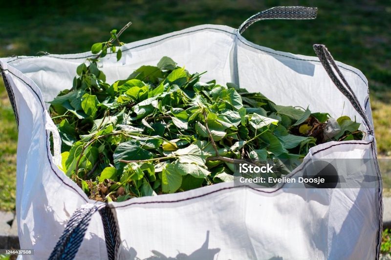 624febef7ef641ada8648bba016ef9d9