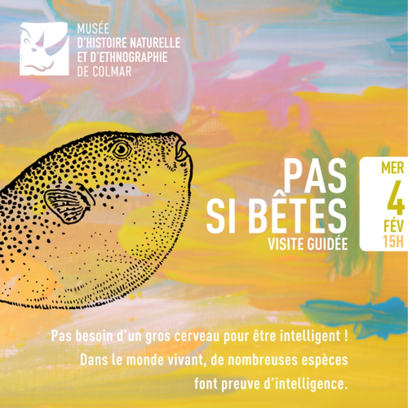 064a1f382e0d4158949dc10acf414029