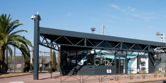  Citibus