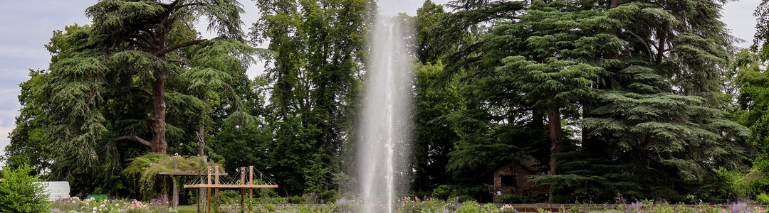 background-tours