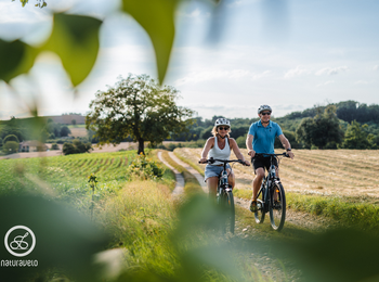 3d1ed4226b2d4196a63142131e430857