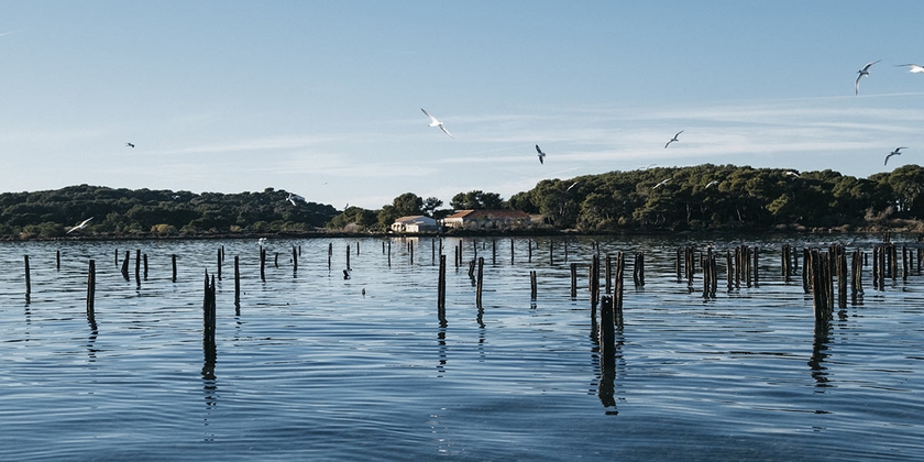 1f89b8bcf12e4bcfa6e74259d15ecf82