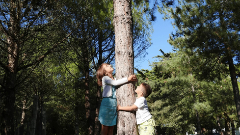 6e32454b3f4d4a90940173d0e7dd167c