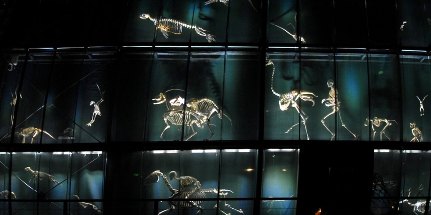 Muséum de Toulouse