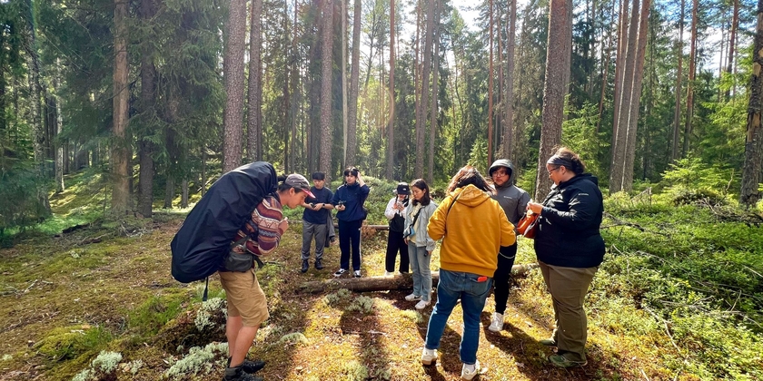 Magical Taiga Forest Hike
