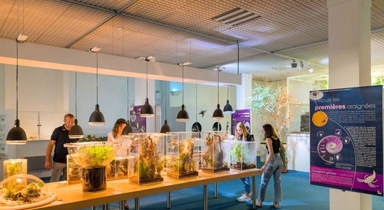 Natural History Museum